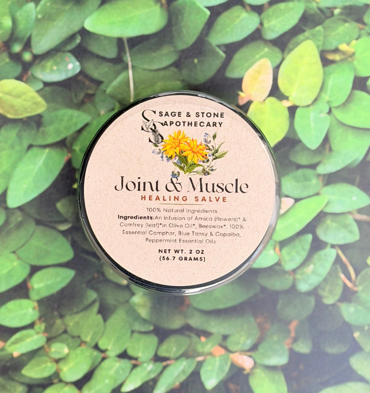 Joint & Muscle Salve