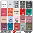 Book Lover Shirt