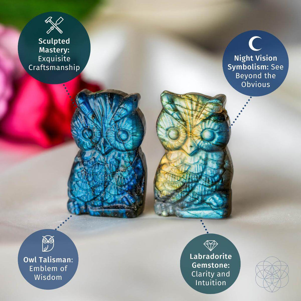 Two labradorite owl carvings with descriptive text on a light background