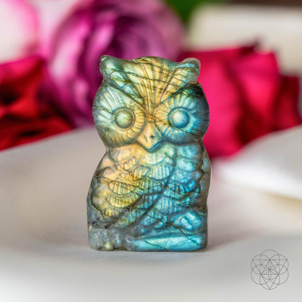 Labradorite owl carving with a blurred floral background
