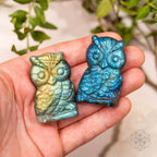 Two owl-shaped stones held in a hand with a natural background